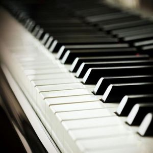 三个黑人和一个白人怎么念
